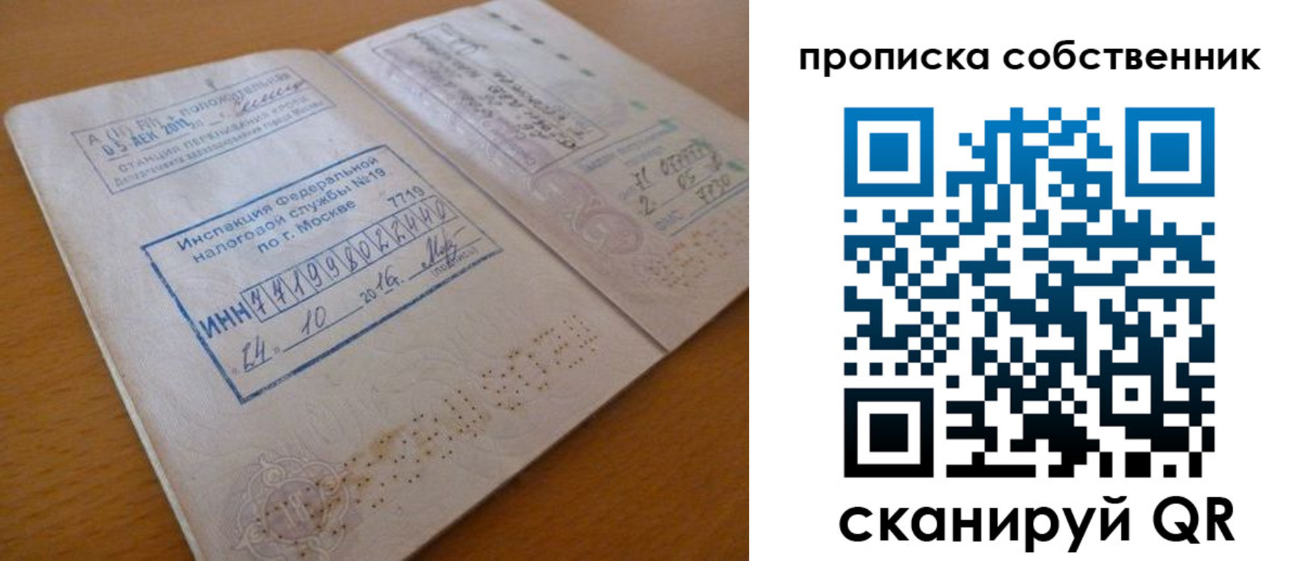 прописка для школы в Коряжме
